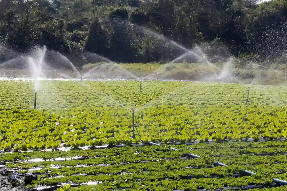 Farm Irrigation
